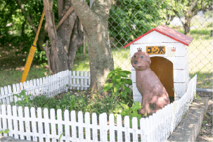 可愛い看板犬のゴン太が皆様をお出迎え